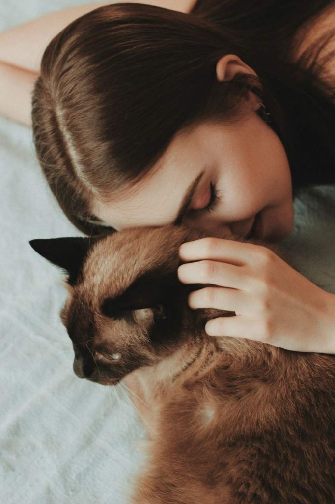 Our cat family